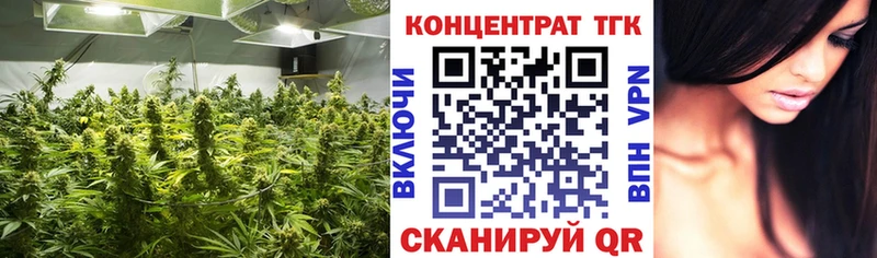 закладки  Нефтекумск  ТГК THC oil 