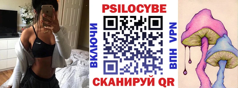 где купить   Нефтекумск  Галлюциногенные грибы Cubensis 